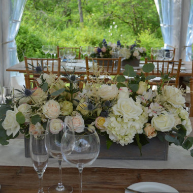 Desktop Gallery Entry 14