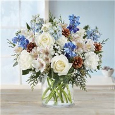 Desktop Gallery Entry 8