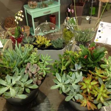 Desktop Gallery Entry 10