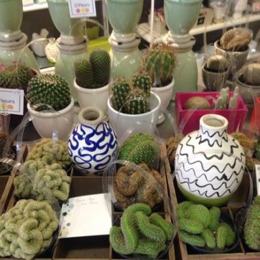 Desktop Gallery Entry 8