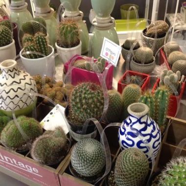 Desktop Gallery Entry 9