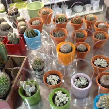 Desktop Gallery Entry 11