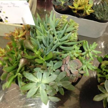 Desktop Gallery Entry 12