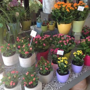 Desktop Gallery Entry 3