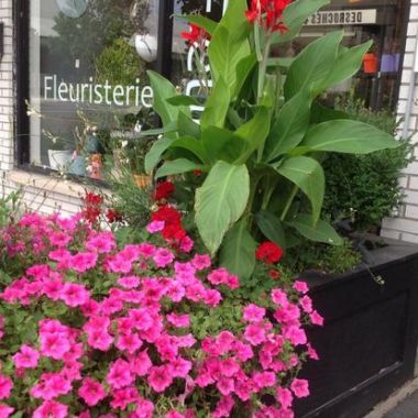 Desktop Gallery Entry 5