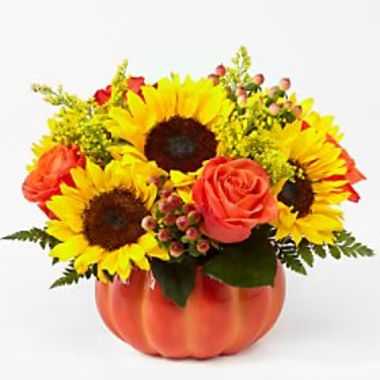 Desktop Gallery Entry 1