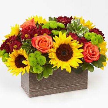 Desktop Gallery Entry 2