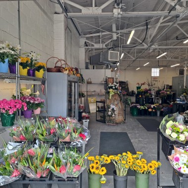 Desktop Gallery Entry 0