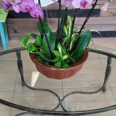 Desktop Gallery Entry 3