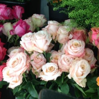 Desktop Gallery Entry 2