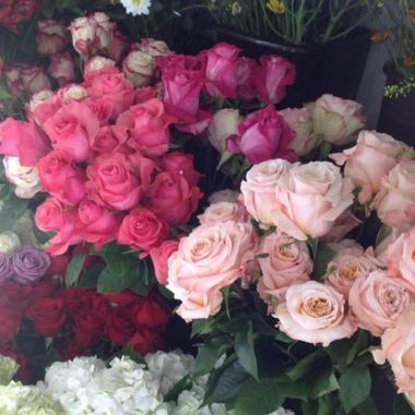 Desktop Gallery Entry 1