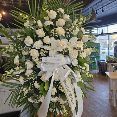 Desktop Gallery Entry 0