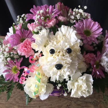 Desktop Gallery Entry 5