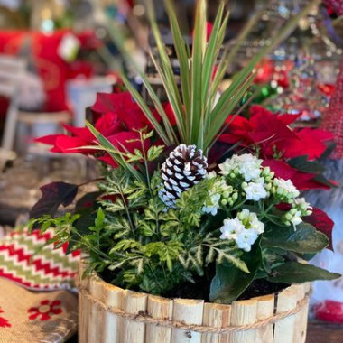 Desktop Gallery Entry 13