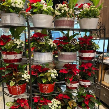 Desktop Gallery Entry 15