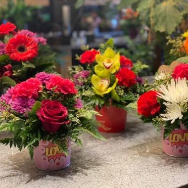 Desktop Gallery Entry 4