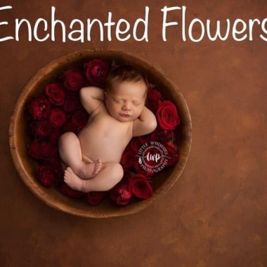 Desktop Gallery Entry 4