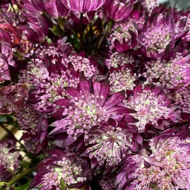 Desktop Gallery Entry 5