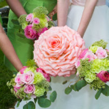 Desktop Gallery Entry 12