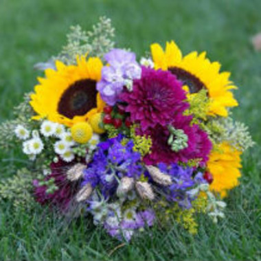 Desktop Gallery Entry 13