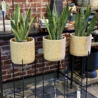 Desktop Gallery Entry 2