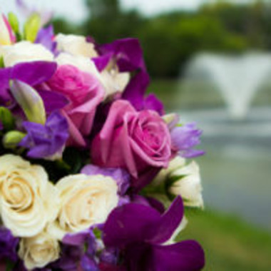 Desktop Gallery Entry 10