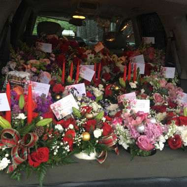 Desktop Gallery Entry 7