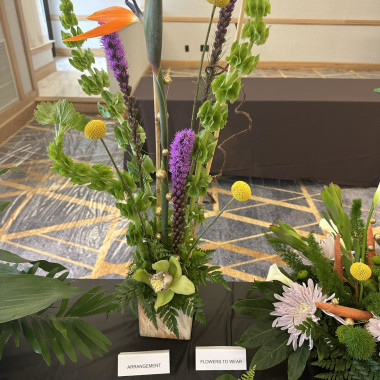 Desktop Gallery Entry 5