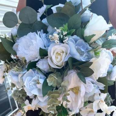 Desktop Gallery Entry 0