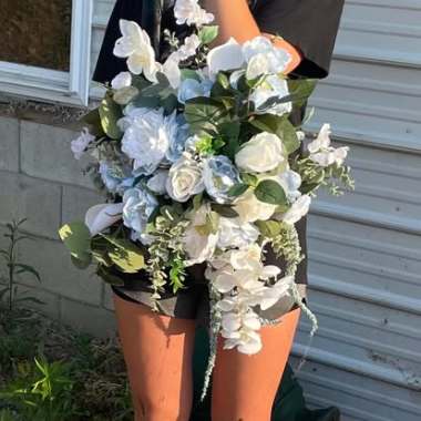 Desktop Gallery Entry 1