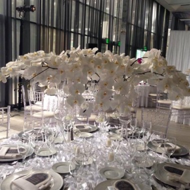 Desktop Gallery Entry 5