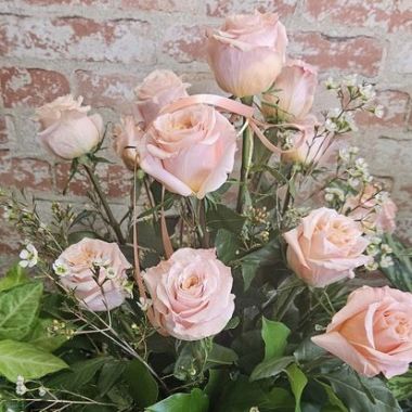 Desktop Gallery Entry 11