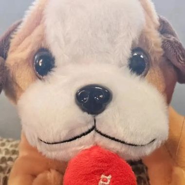 Desktop Gallery Entry 6