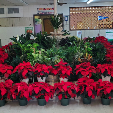 Desktop Gallery Entry 0