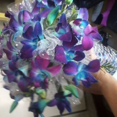 Desktop Gallery Entry 16