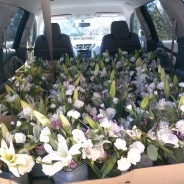 Desktop Gallery Entry 3