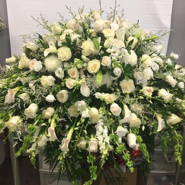 Desktop Gallery Entry 8