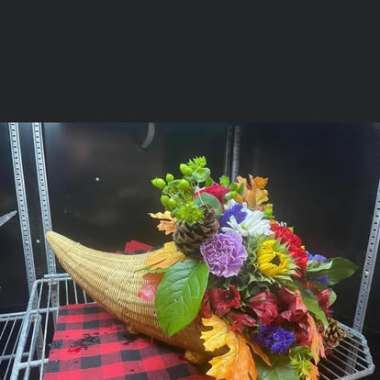 Desktop Gallery Entry 16