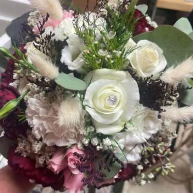 Desktop Gallery Entry 7