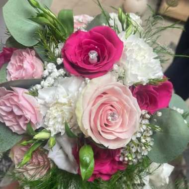 Desktop Gallery Entry 14