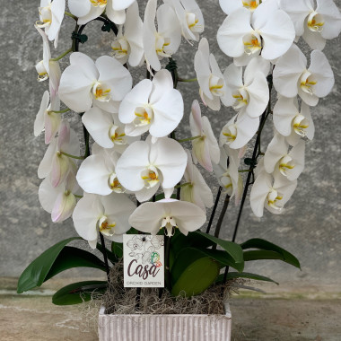 Desktop Gallery Entry 3