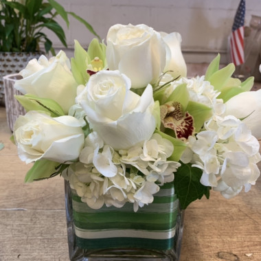 Desktop Gallery Entry 15