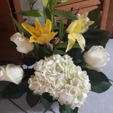 Desktop Gallery Entry 16