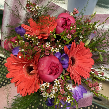 Desktop Gallery Entry 0