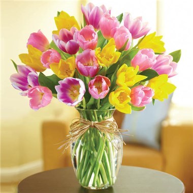 Desktop Gallery Entry 13