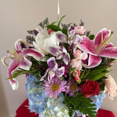 Desktop Gallery Entry 3