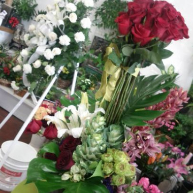 Desktop Gallery Entry 15