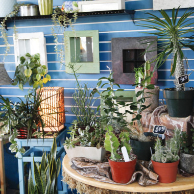 Desktop Gallery Entry 6