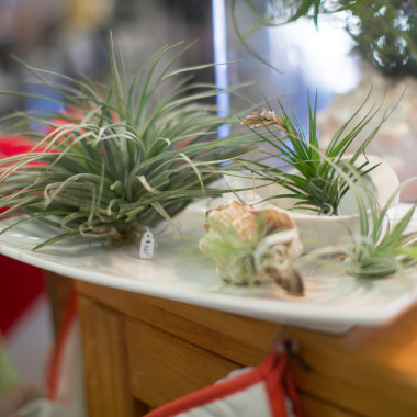 Desktop Gallery Entry 13