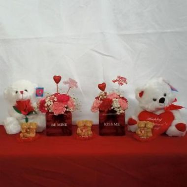 Desktop Gallery Entry 10